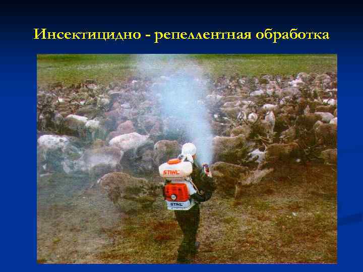 Инсектицидно - репеллентная обработка 