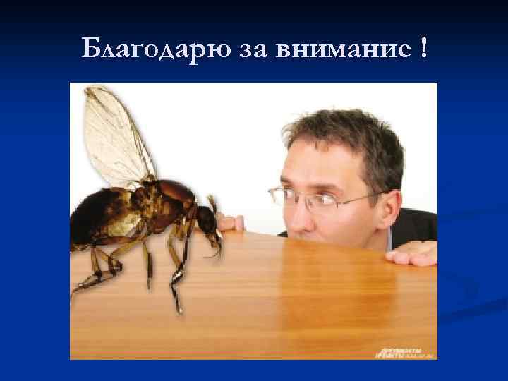 Благодарю за внимание ! 