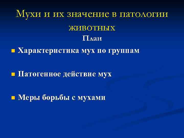 Мухи и их значение в патологии животных План n Характеристика мух по группам n