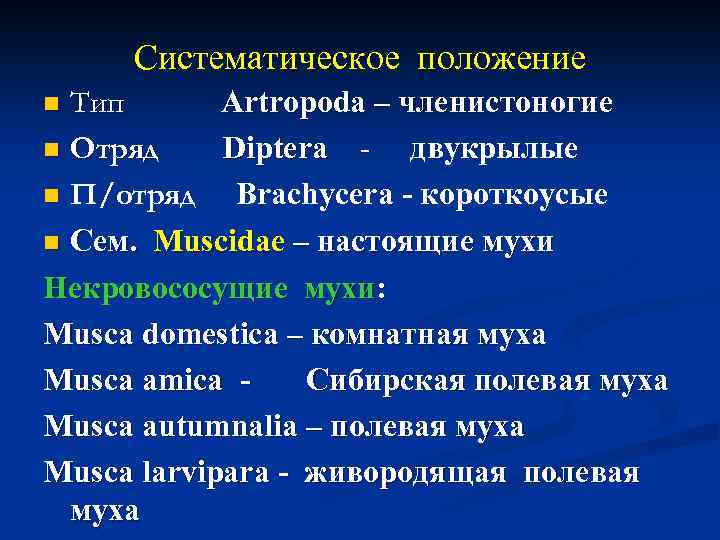 Систематическое положение Тип Artropoda – членистоногие n Отряд Diptera - двукрылые n П/отряд Brachycera