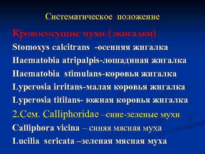 Систематическое положение Кровососущие мухи ( жигалки) Stomoxys calcitrans -осенняя жигалка Haematobia atripalpis-лошадиная жигалка Haematobia