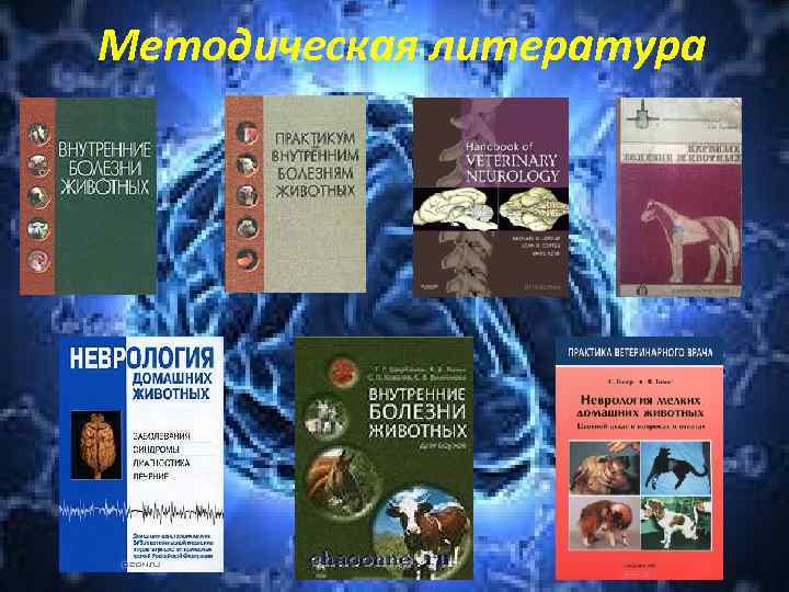 Методическая литература 