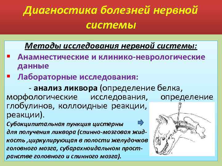 Расстройство нервной системы диагноз