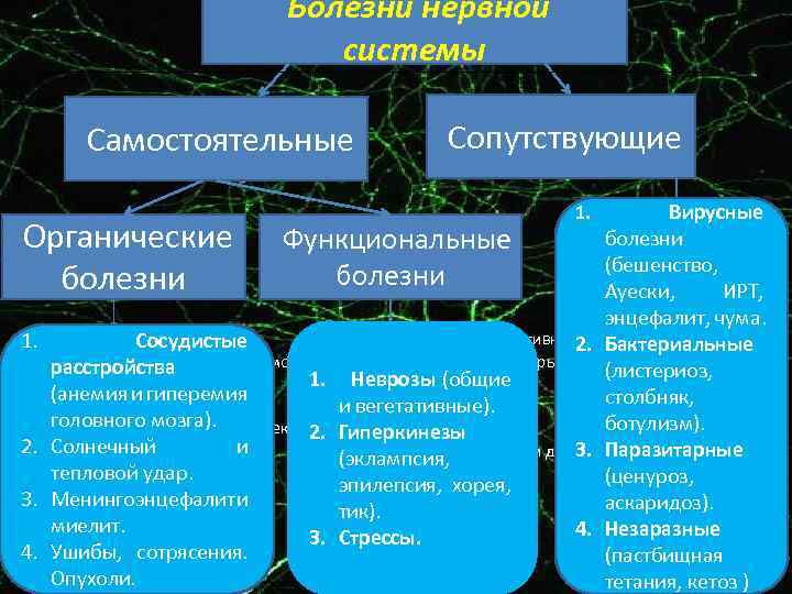  Болезни нервной системы Самостоятельные Сопутствующие Вирусные болезни Функциональные (бешенство, болезни Ауески, ИРТ, энцефалит,