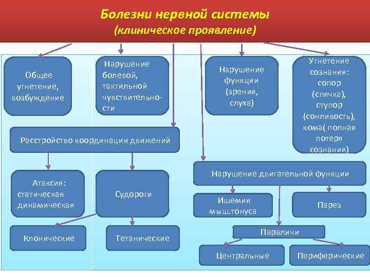 Болезни нервной системы (клиническое проявление) Общее угнетение, возбуждение Нарушение болевой, тактильной чувствительности Угнетение сознания: