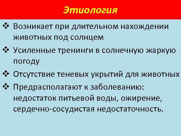Этиология v Возникает при длительном нахождении животных под солнцем v Усиленные тренинги в солнечную