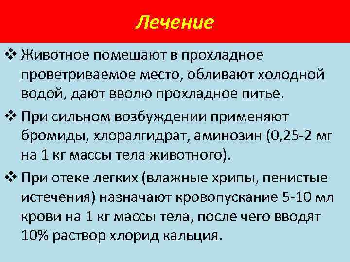 Лечение v Животное помещают в прохладное проветриваемое место, обливают холодной водой, дают вволю прохладное