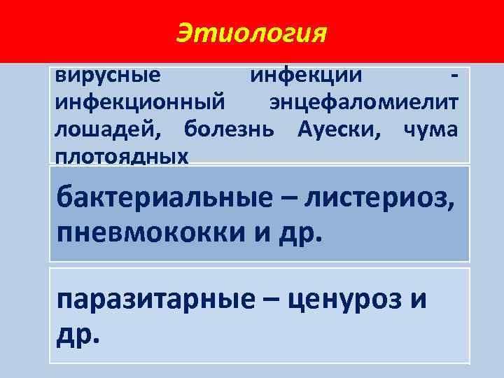 Этиология вирусные инфекции инфекционный энцефаломиелит лошадей, болезнь Ауески, чума плотоядных бактериальные – листериоз, пневмококки