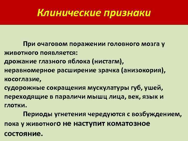 Клинические признаки При очаговом поражении головного мозга у животного появляется: дрожание глазного яблока (нистагм),