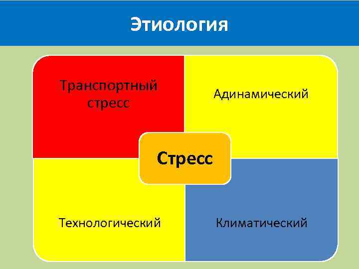 Этиология Транспортный стресс Адинамический Стресс Технологический Климатический 