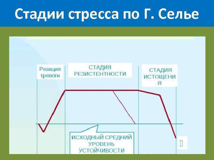 В схеме г селье автором описана такая последовательность протекания стресса