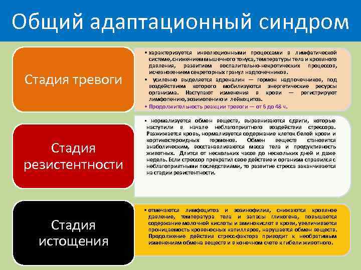 Субсиндромы или фазы стресса презентация