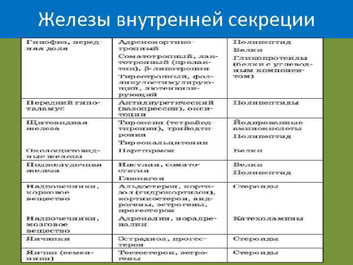 Железы внутренней секреции 