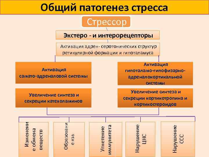 Патофизиология стресса презентация