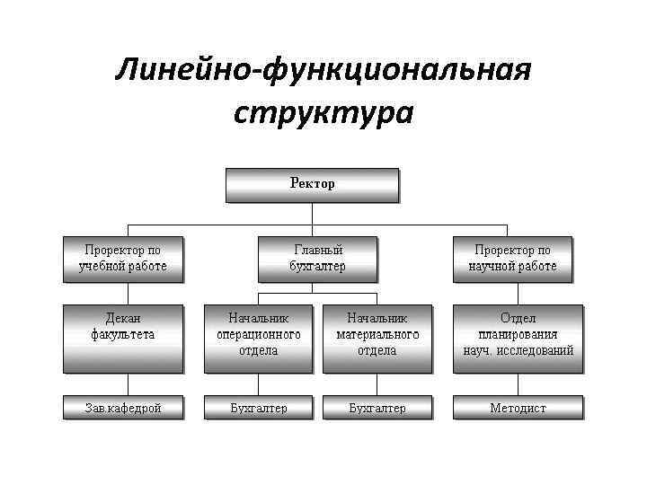 Линейно функциональная организационная структура. Линейно-функциональная структура управления в гостинице. Линейно-функциональная структура вуза.
