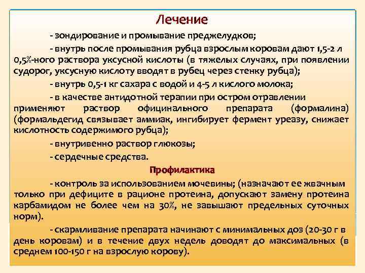 Лечение зондирование и промывание преджелудков; внутрь после промывания рубца взрослым коровам дают 1, 5