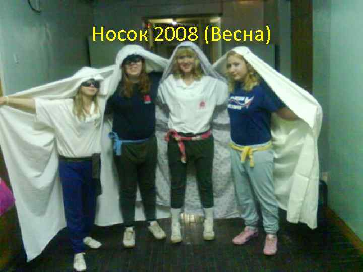 Носок 2008 (Весна) 