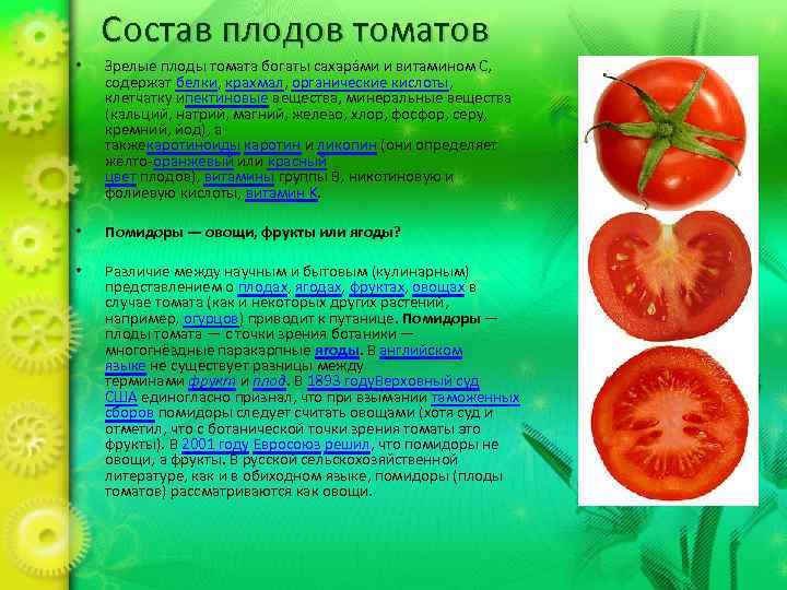 Состав плодов томатов • Зрелые плоды томата богаты сахара ми и витамином C, содержат