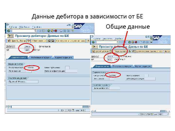 Данные дебитора в зависимости от БЕ Общие данные 