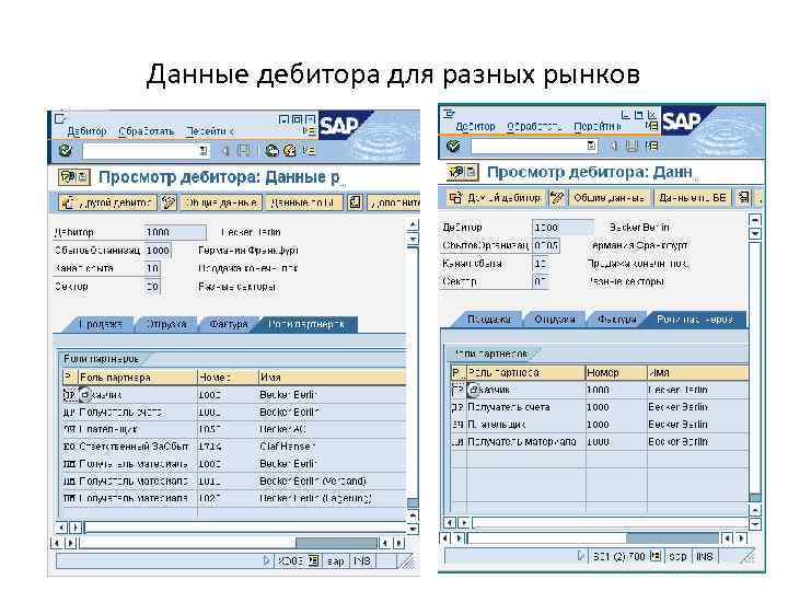 Данные дебитора для разных рынков 