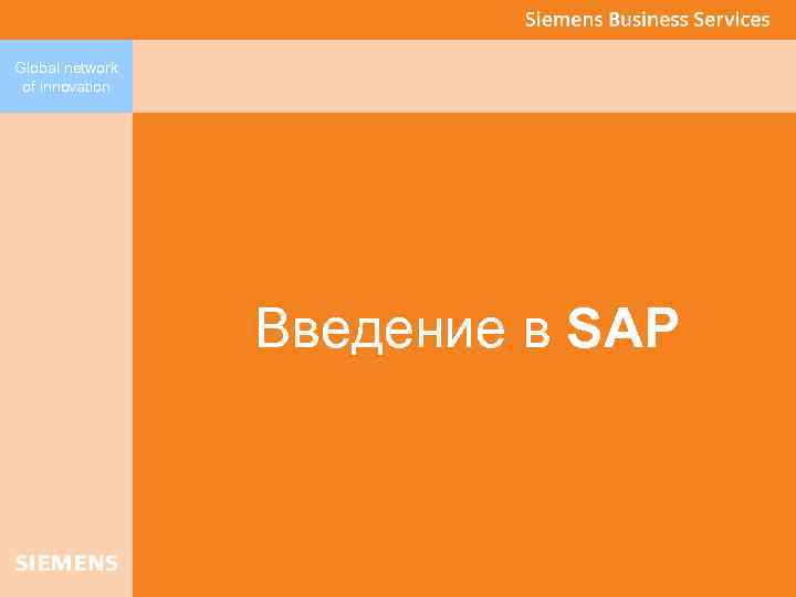 Global network of innovation Введение в SAP 