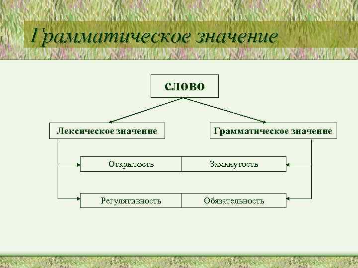 Грамматическое значение слово Лексическое значение Грамматическое значение Открытость Замкнутость Регулятивность Обязательность 