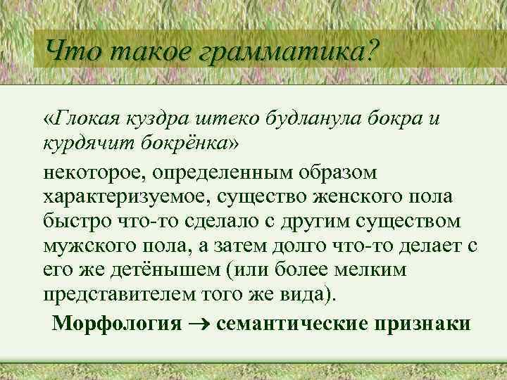 Что такое грамматика? «Глокая куздра штеко будланула бокра и курдячит бокрёнка» некоторое, определенным образом