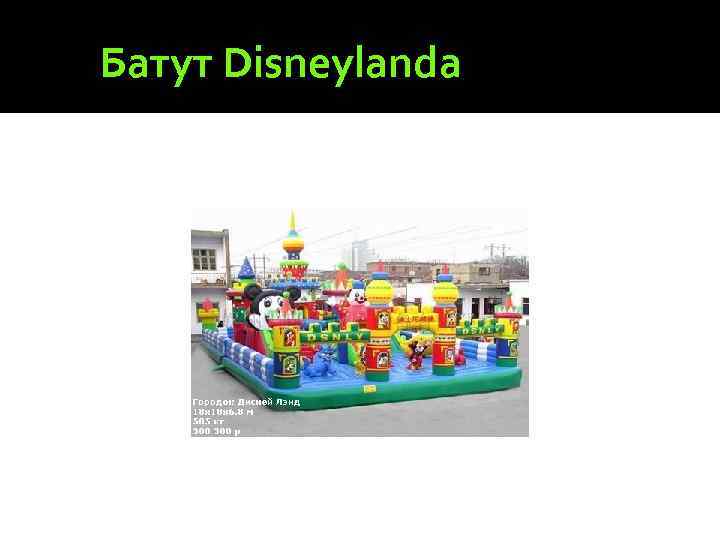 Батут Disneylanda 