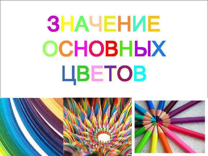 ЗН А Ч Е Н И Е О СНО В НЫ Х ЦВ Е