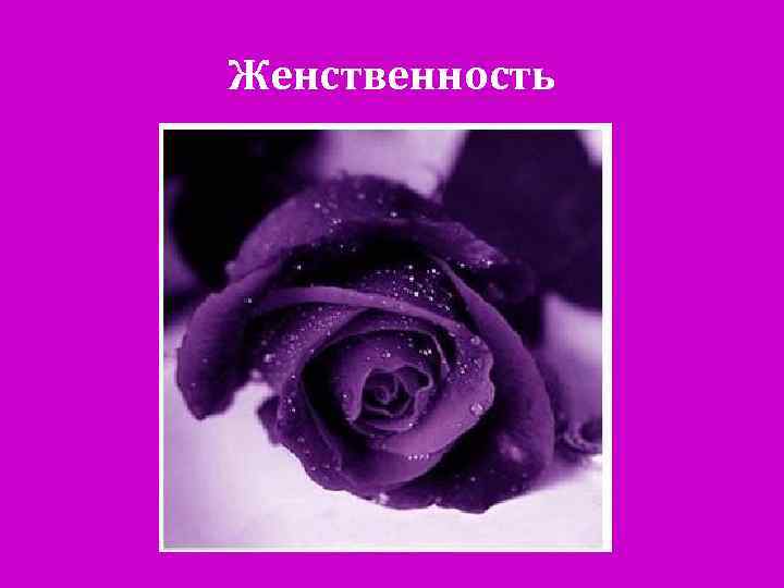 Женственность 