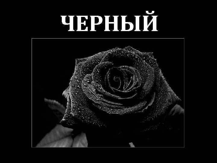 ЧЕРНЫЙ 