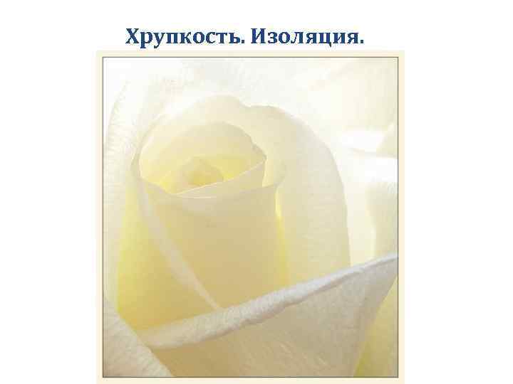 Хрупкость. Изоляция. 