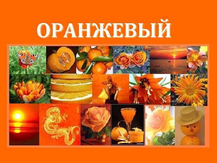 ОРАНЖЕВЫЙ 