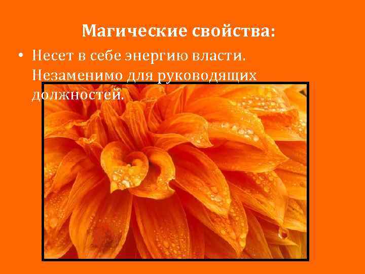 Магические свойства: • Несет в себе энергию власти. Незаменимо для руководящих должностей. 