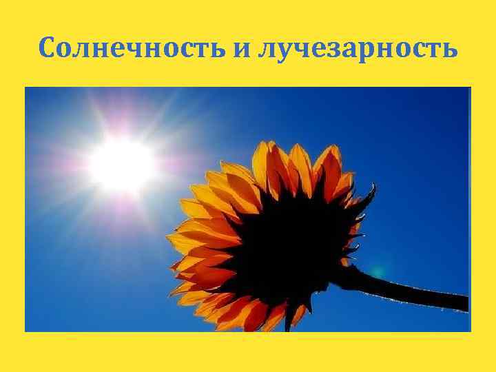 Солнечность и лучезарность 