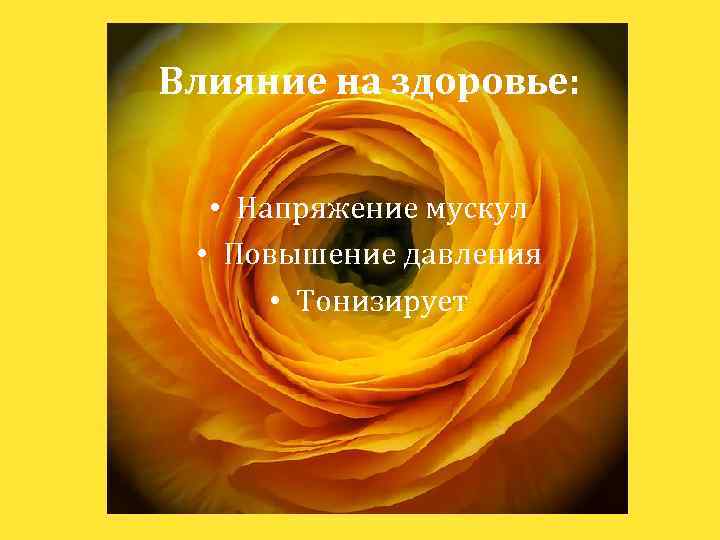 Влияние на здоровье: • Напряжение мускул • Повышение давления • Тонизирует 
