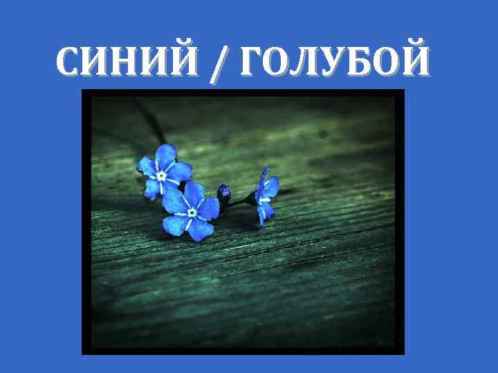 СИНИЙ / ГОЛУБОЙ 