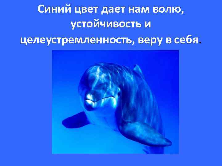 Синий цвет дает нам волю, устойчивость и целеустремленность, веру в себя. 