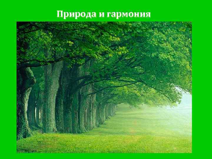Природа и гармония 