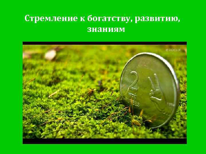 Стремление к богатству, развитию, знаниям 