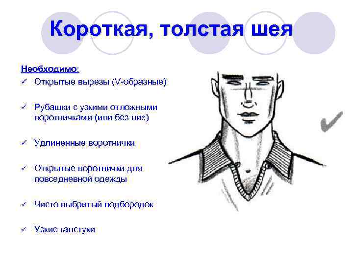 Короткая, толстая шея Необходимо: ü Открытые вырезы (V-образные) ü Рубашки с узкими отложными воротничками