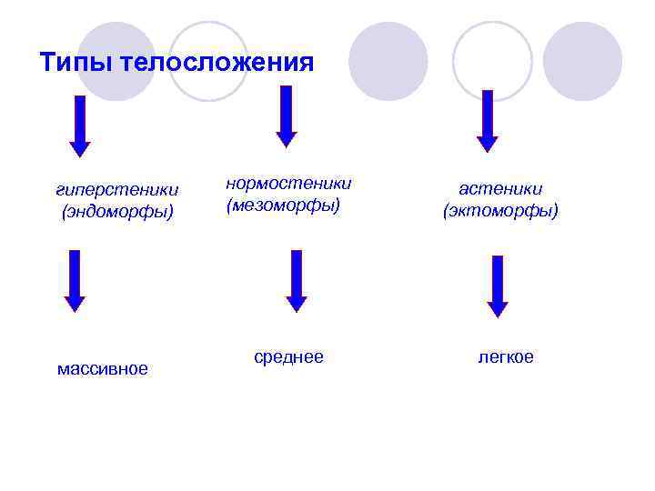 Типы телосложения гиперстеники (эндоморфы) массивное нормостеники (мезоморфы) астеники (эктоморфы) среднее легкое 