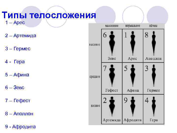 Типы телосложения 1 – Арес 2 – Артемида 3 – Гермес 4 - Гера