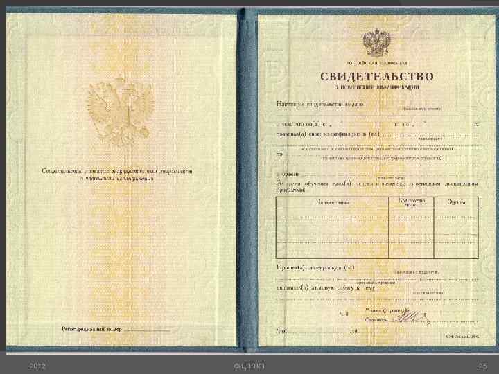 2012 © ЦППКП 25 