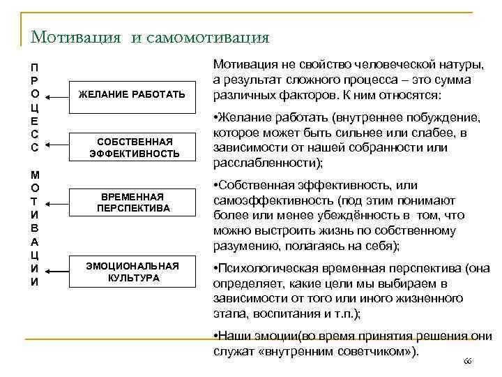 Соотнесите вопросы по схеме рост с каждой из стадий р о с т сдо ответы