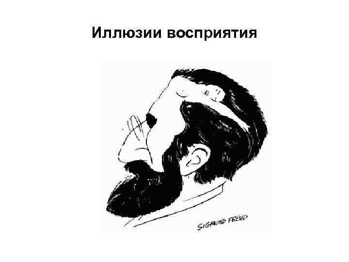Иллюзии восприятия 