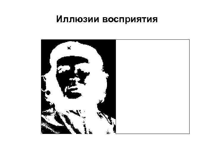 Иллюзии восприятия 