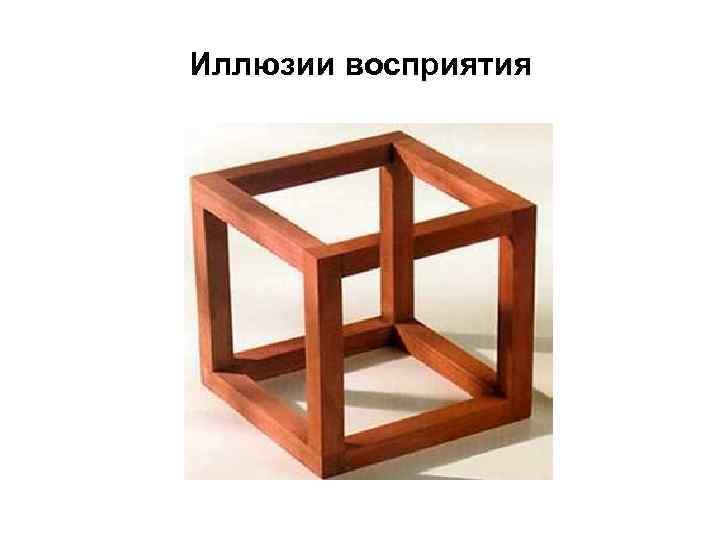 Иллюзии восприятия 