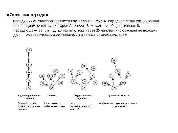  «Сорта винограда» Нередко у менеджеров создается впечатление, что «виноградная лоза» организована по принципу