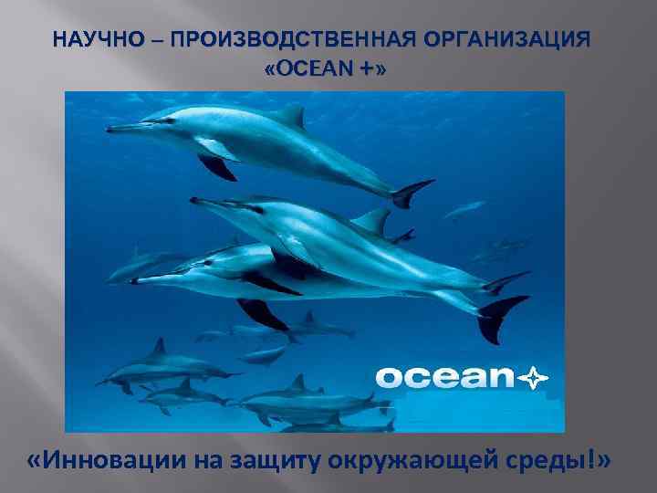 НАУЧНО – ПРОИЗВОДСТВЕННАЯ ОРГАНИЗАЦИЯ «OСEAN +» «Инновации на защиту окружающей среды!» 